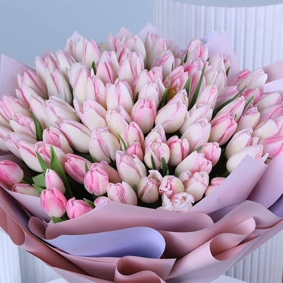 Soft pink tulip bouquet wrapped in pastel paper
